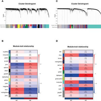 Exploring the common gene signatures and pathogeneses of obesity with Alzheimer’s disease via transcriptome data